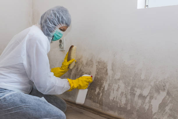 Best Mold Testing  in Thunder Mountain, NM