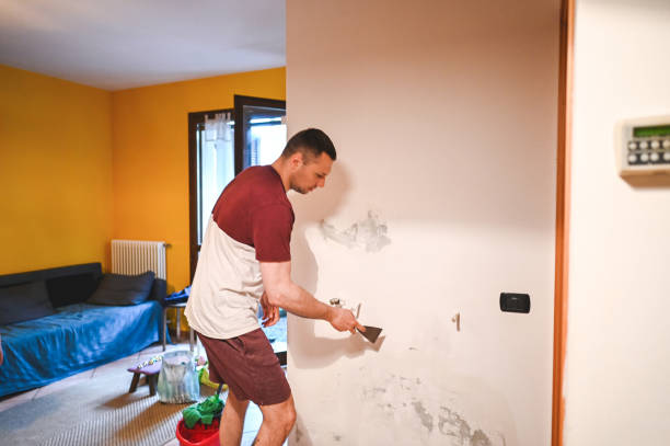 Best Certified Mold Removal  in Thunder Mountain, NM