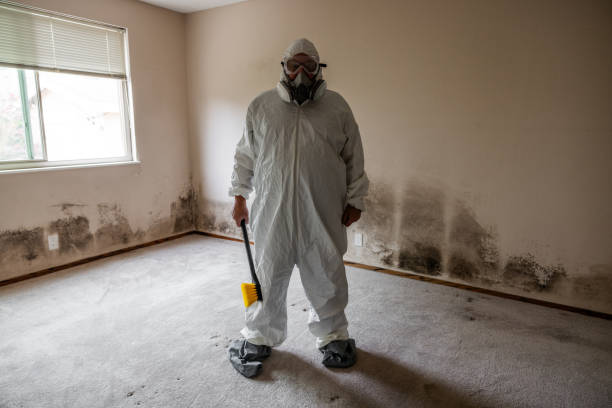 Best Mold Cleaning Services  in Thunder Mountain, NM